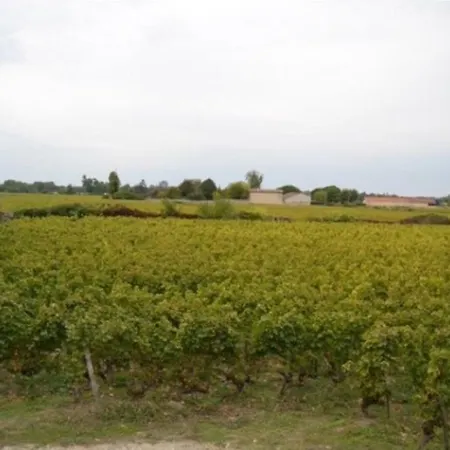 Les Vignes De Camperos 度假居 *